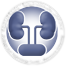 Urology & Nephrology Center, Mansoura Egypt institutional identity